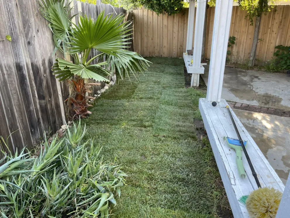 Local lawn care service with custom design in Mira Loma, CA by C3 Contractors