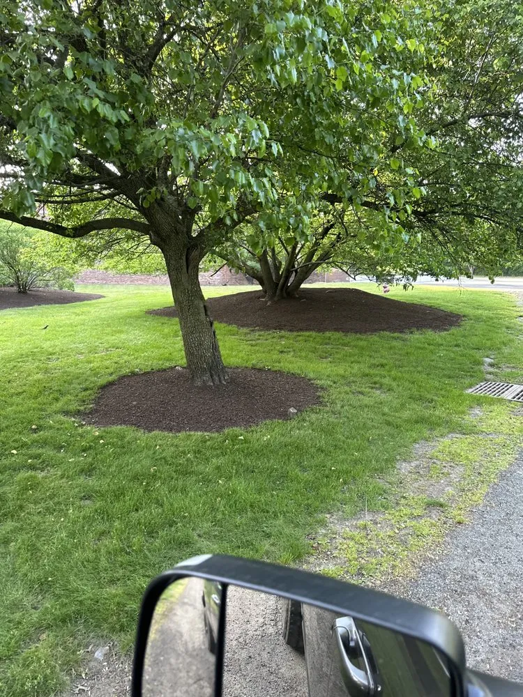 Affordable landscape design experts serving Morristown, NJ - C3 Group