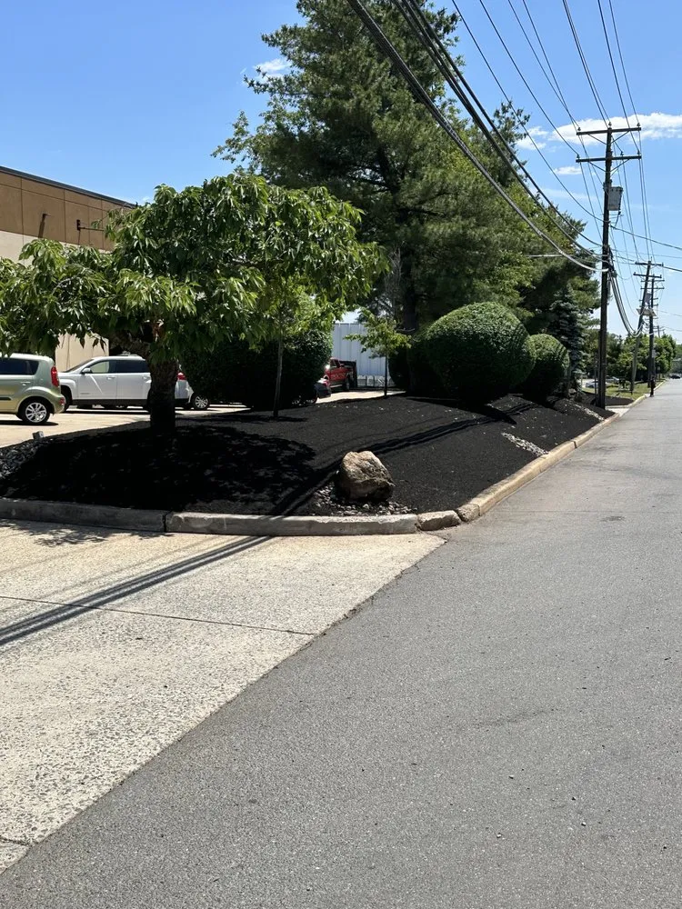 Top-rated residential landscaping for year-round maintenance across Morristown, NJ - C3 Group