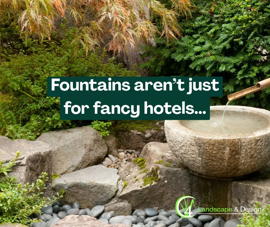 Trusted landscaping services for year-round maintenance in Montgomery, TX by C4 Landscape & Design