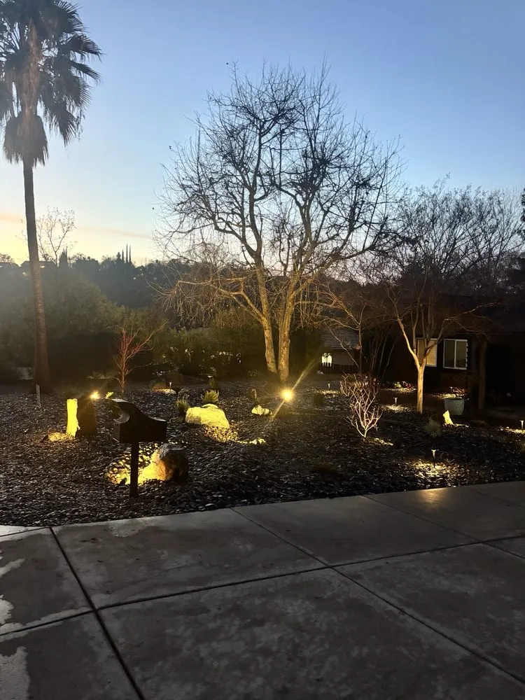 Professional yard cleanup service in Linden, CA by C4 Landscaping