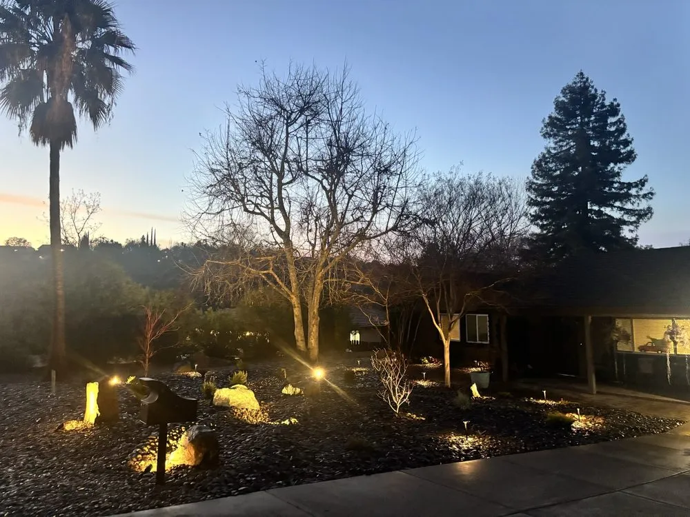 Reliable yard cleanup service experts serving Linden, CA - C4 Landscaping