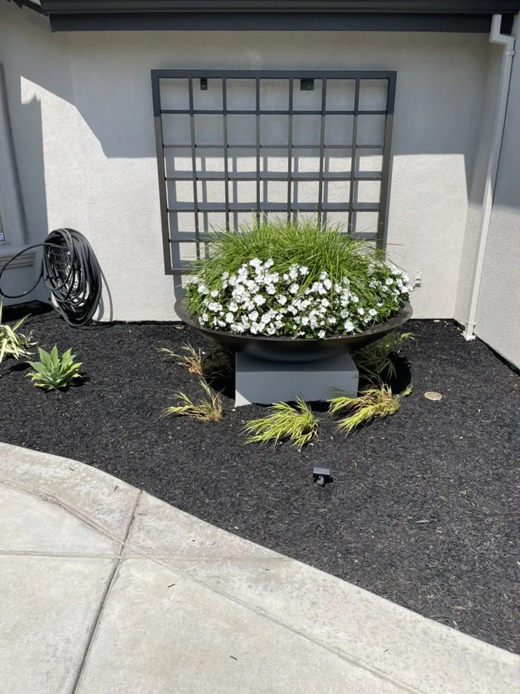 Reliable residential landscaping in Linden, CA - C4 Landscaping
