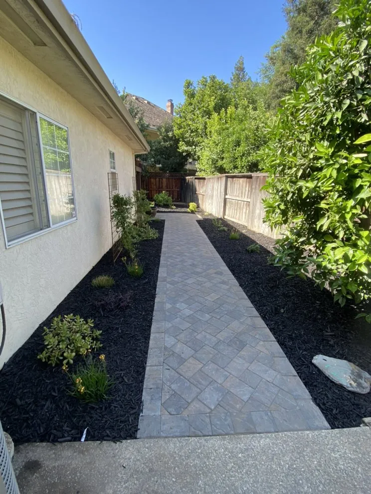 Reliable lawn care service near you across Linden, CA - C4 Landscaping