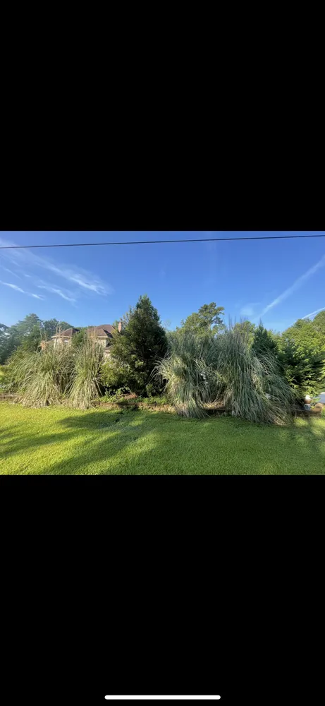 Top-rated landscaping services in Myrtle Beach, SC by C4 Landscaping Services