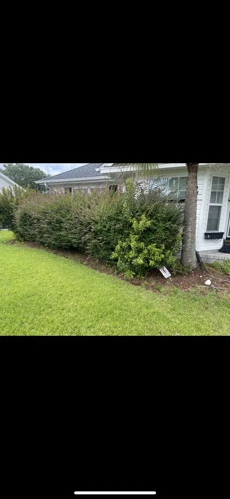 Affordable residential landscaping near you in Myrtle Beach, SC by C4 Landscaping Services
