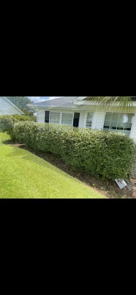 Local outdoor landscaping in Myrtle Beach, SC - C4 Landscaping Services