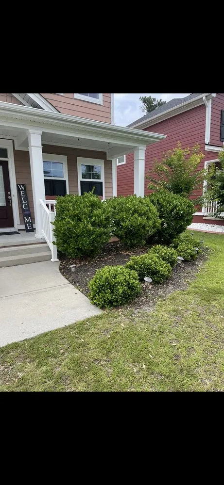 Custom landscape installation experts serving Myrtle Beach, SC - C4 Landscaping Services