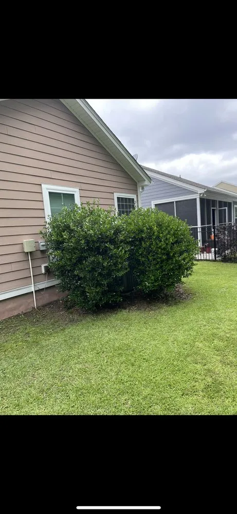 Local residential landscaping for homes across Myrtle Beach, SC - C4 Landscaping Services