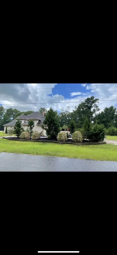 Expert yard cleanup service experts serving Myrtle Beach, SC - C4 Landscaping Services