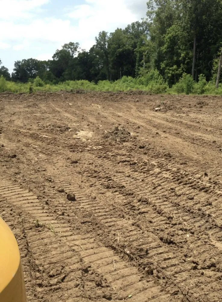 Professional yard cleanup service in Morton, MS by C4 Lawn and Dirt