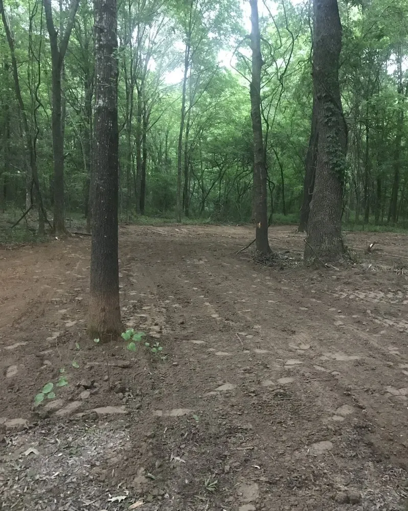 Expert yard cleanup service for homes in Morton, MS by C4 Lawn and Dirt