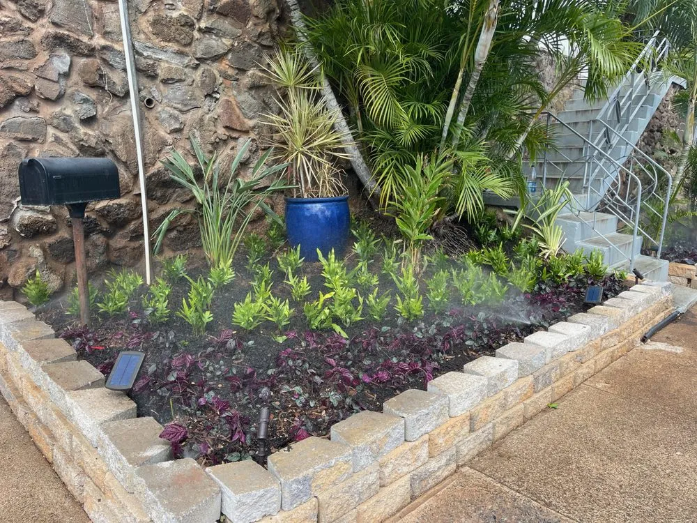 Affordable yard maintenance for homes across Waipahu, HI - C5 Landscaping and Maintenance