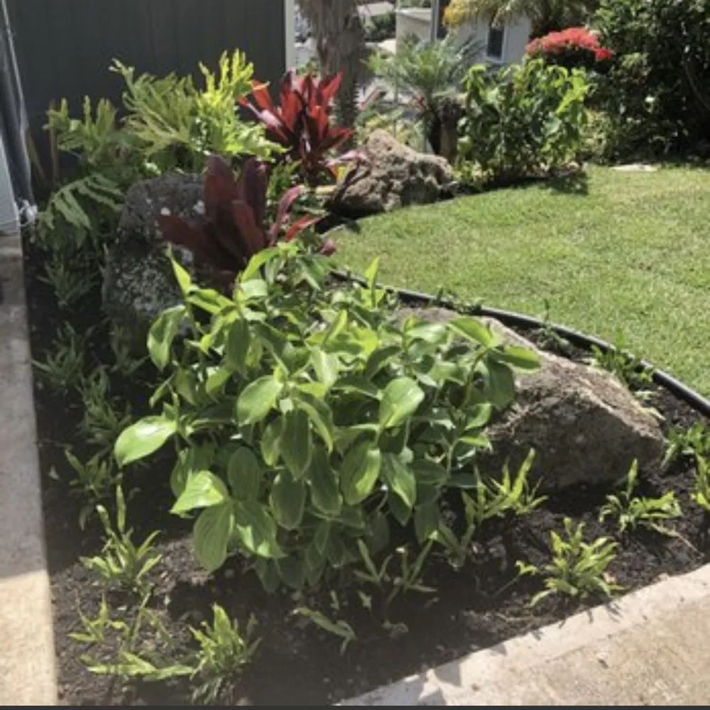 Reliable lawn care service in Waipahu, HI - C5 Landscaping and Maintenance