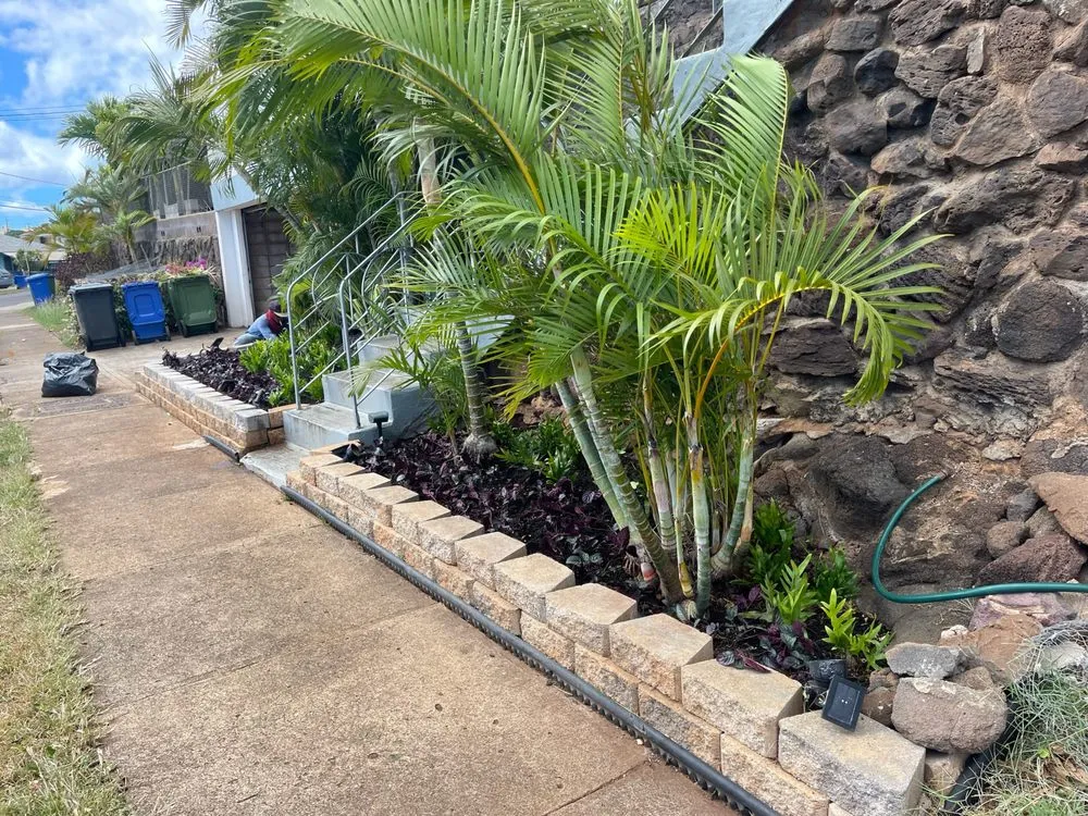 Top-rated yard maintenance for residential properties in Waipahu, HI by C5 Landscaping and Maintenance