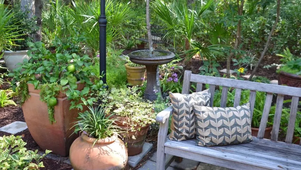 Local lawn care service in Hilton Head Island, SC by C6 Advisors - C6 Property Services Group