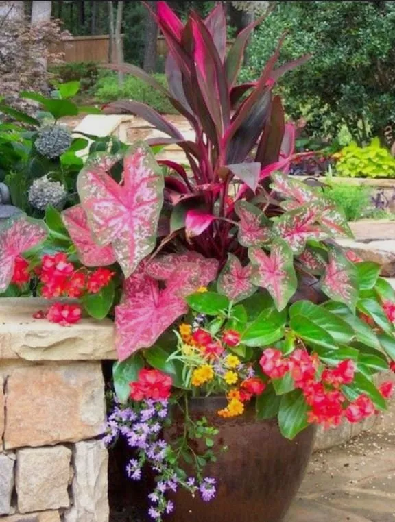 Affordable yard cleanup service in Hilton Head Island, SC - C6 Advisors - C6 Property Services Group