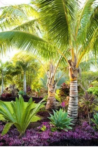 Local lawn mowing service for beautiful yards in Hilton Head Island, SC by C6 Advisors - C6 Property Services Group