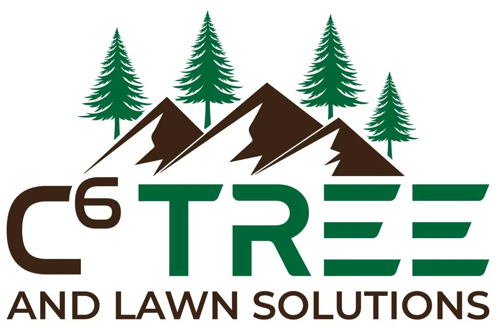 Expert lawn care service in Eagle, CO by C6 Tree and Lawn Solutions