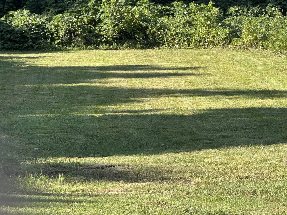 Reliable residential landscaping in Adairsville, GA - CA & Son Enterprises