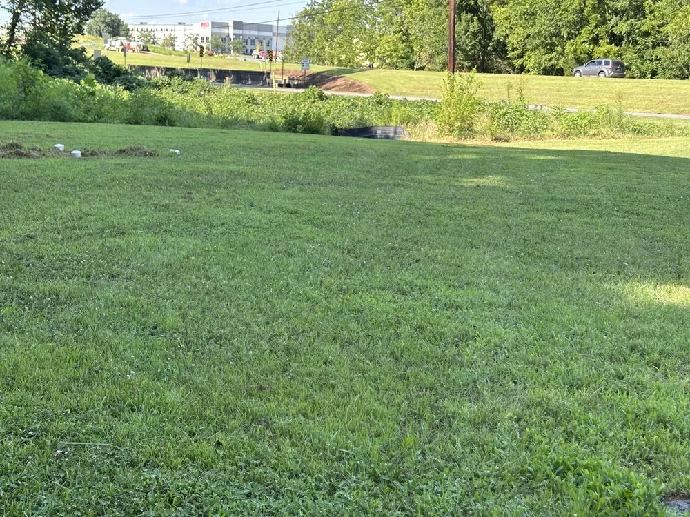 Affordable yard cleanup service for residential properties in Adairsville, GA by CA & Son Enterprises