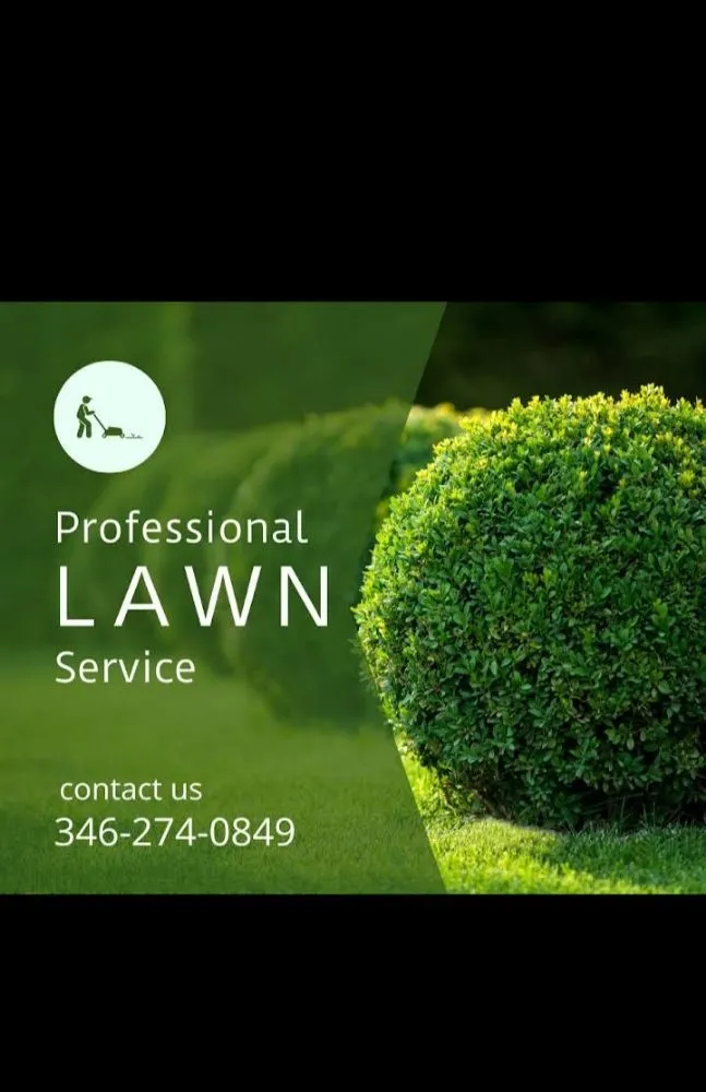 Affordable landscape installation experts serving Pasadena, TX - CA Company Services