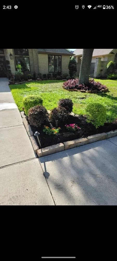 Local landscaping services for outdoor upgrades in Pasadena, TX by CA Company Services