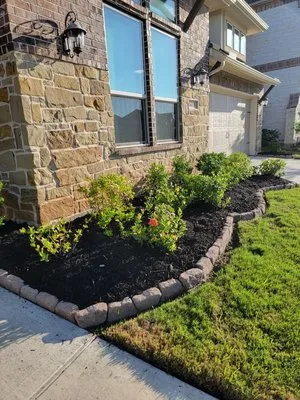 CA Company Services Logo