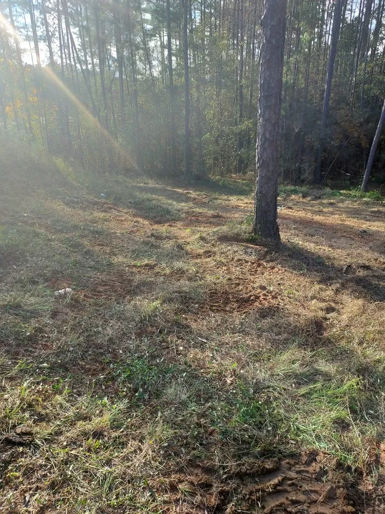 Reliable residential landscaping in Tylertown, MS - C&A Forestry and Mulching