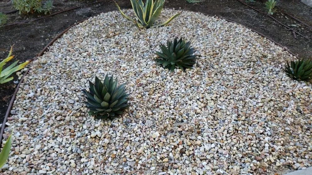 Local landscaping services for outdoor upgrades in Hawthorne, CA by C&A Landscape & Lawncare