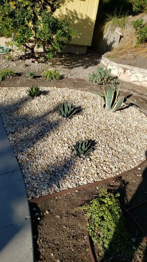 Professional lawn care service in Hawthorne, CA by C&A Landscape & Lawncare