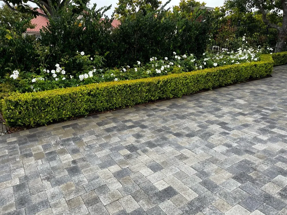 Expert lawn care service in Hawthorne, CA - C&A Landscape & Lawncare