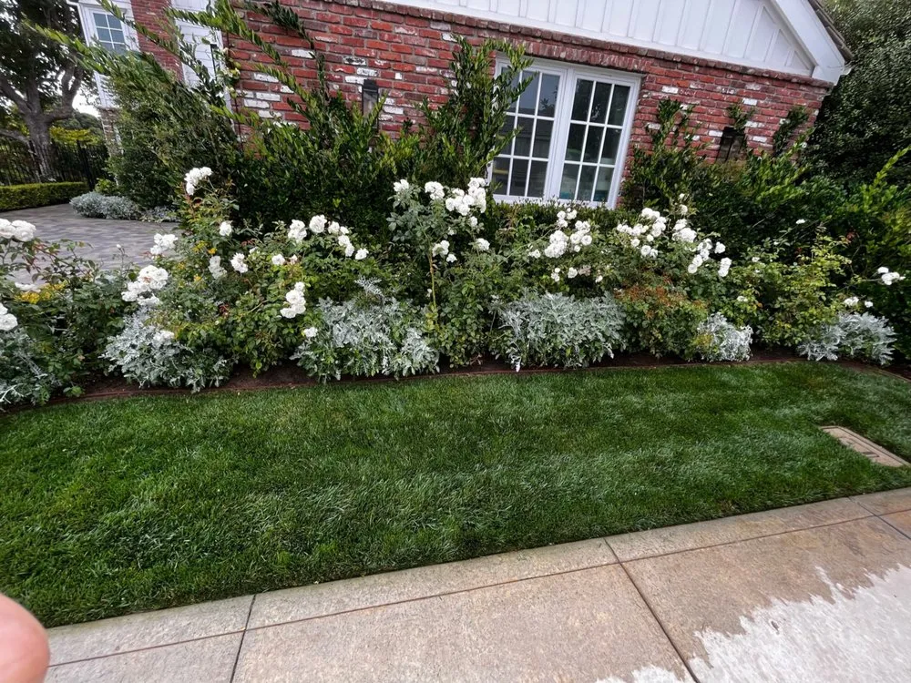 Reliable landscape design experts serving Hawthorne, CA - C&A Landscape & Lawncare