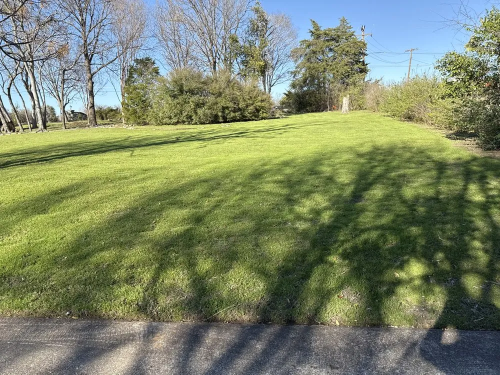 Top-rated yard cleanup service experts serving Dallas, TX - Ca Landscape