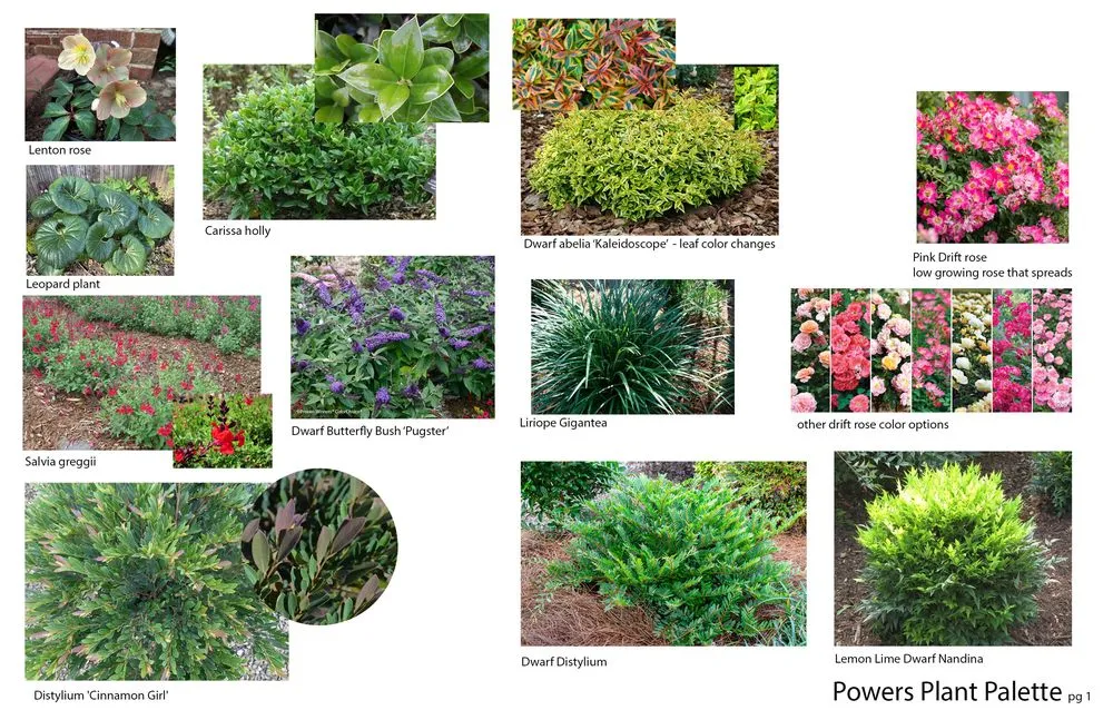 Professional landscape design for beautiful yards across Dallas, TX - Ca Landscape