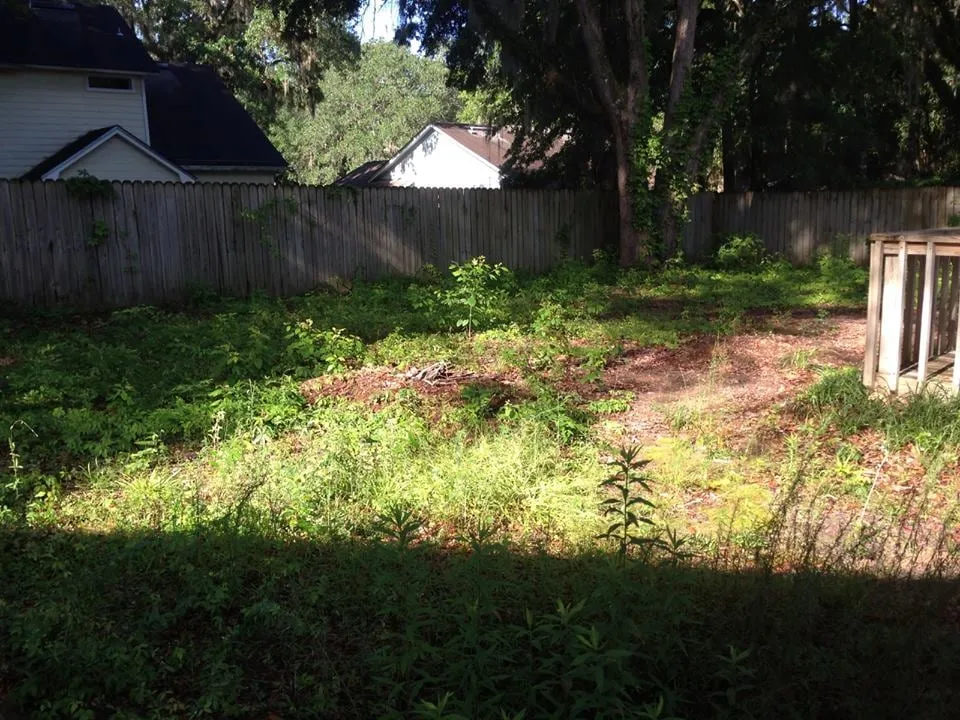 Reliable landscaping services experts serving Tallahassee, FL - C&A Landscape Maintenance