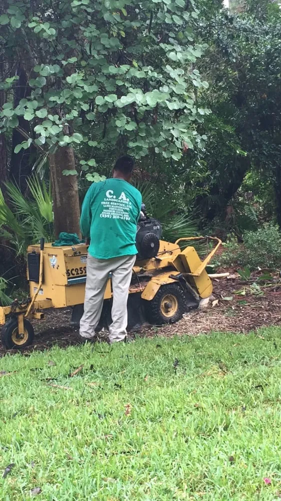 Custom yard maintenance for year-round maintenance in Naples, FL by C.A. Landscaping & Tree Service