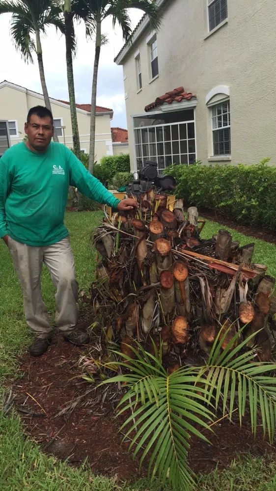 Top-rated residential landscaping for beautiful yards in Naples, FL by C.A. Landscaping & Tree Service