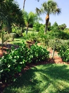 Local landscape installation in Naples, FL by C.A. Landscaping & Tree Service