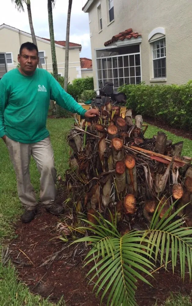 Local yard cleanup service in Naples, FL - C.A. Landscaping & Tree Service