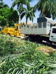 Expert residential landscaping for outdoor upgrades across Naples, FL - C.A. Landscaping & Tree Service