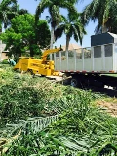 Local landscape design in Naples, FL by C.A. Landscaping & Tree Service