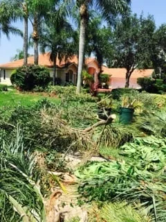 Custom lawn care service in Naples, FL - C.A. Landscaping & Tree Service