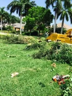 Custom yard maintenance in Naples, FL - C.A. Landscaping & Tree Service