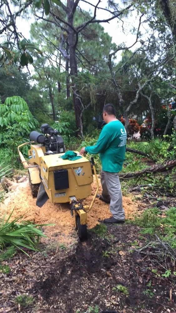 Reliable lawn mowing service for outdoor upgrades in Naples, FL by C.A. Landscaping & Tree Service