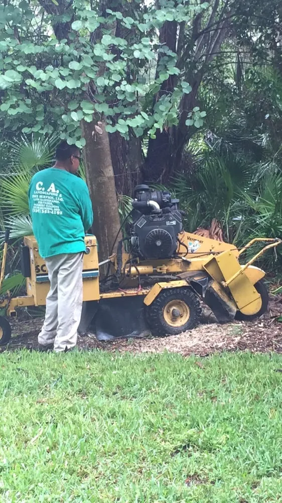 Professional outdoor landscaping for beautiful yards across Naples, FL - C.A. Landscaping & Tree Service