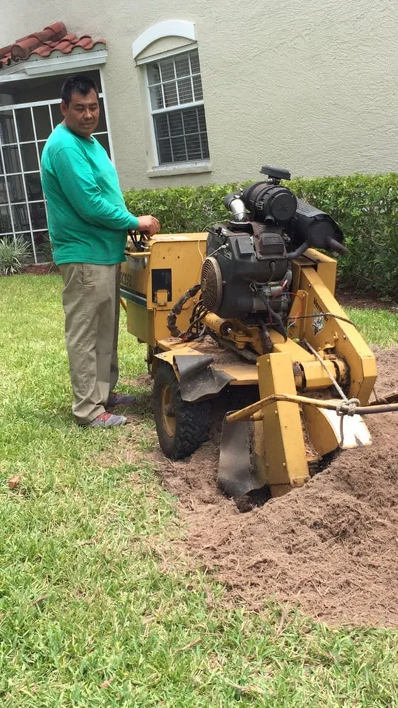 Trusted yard cleanup service for outdoor upgrades across Naples, FL - C.A. Landscaping & Tree Service