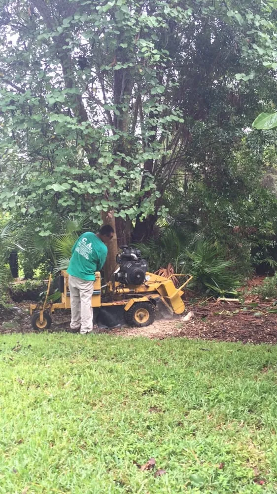 Trusted yard cleanup service for beautiful yards in Naples, FL by C.A. Landscaping & Tree Service