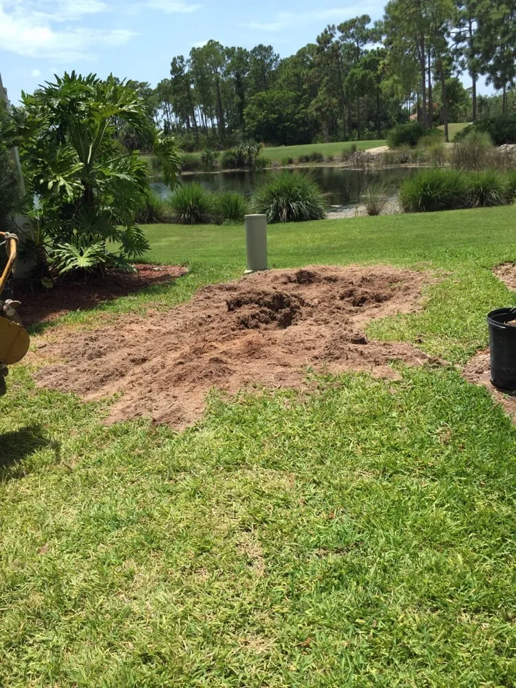 Reliable yard maintenance for beautiful yards in Naples, FL by C.A. Landscaping & Tree Service