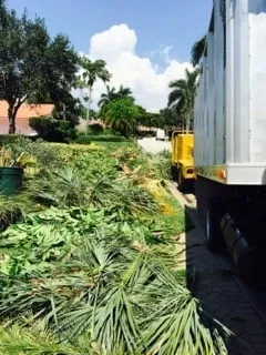 Custom landscaping services in Naples, FL by C.A. Landscaping & Tree Service